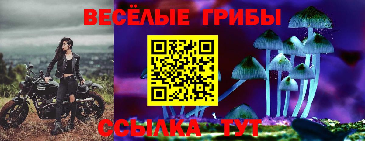 Псилоцибиновые грибы мицелий  где продают наркотики  Красный Сулин  Вход с VPN 